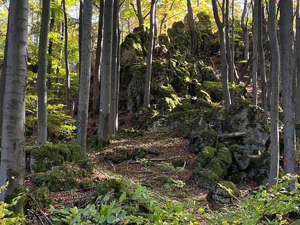 22-10-09 15-11-33 2581